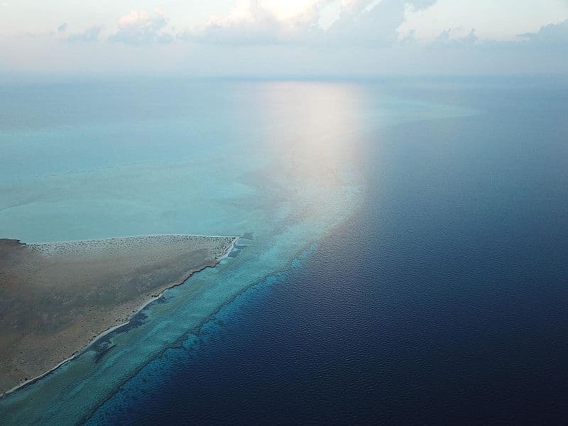  144 نوعا من الشعب المرجانية تعزز التجربة السياحية في " أمالا "