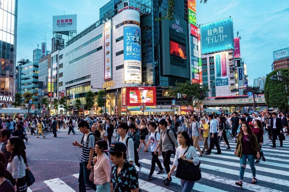 55 في المائة من سكان العالم يتركزون في المناطق الحضرية وتوقعات ببلوغها 68 في المائة بحلول 2050..