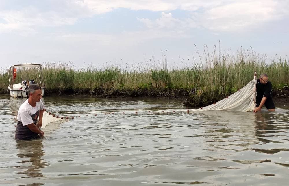 «الديكوباج» فن الفقراء .. بساطة تصنع الجمال