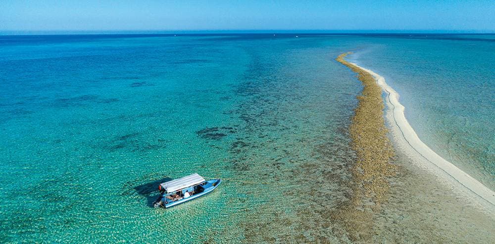 أملج الفيروزية