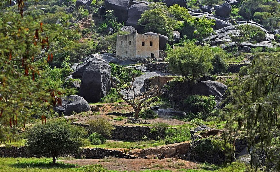 "صيف السعودية" يميط اللثام عن أشهر المواقع السياحية في المملكة