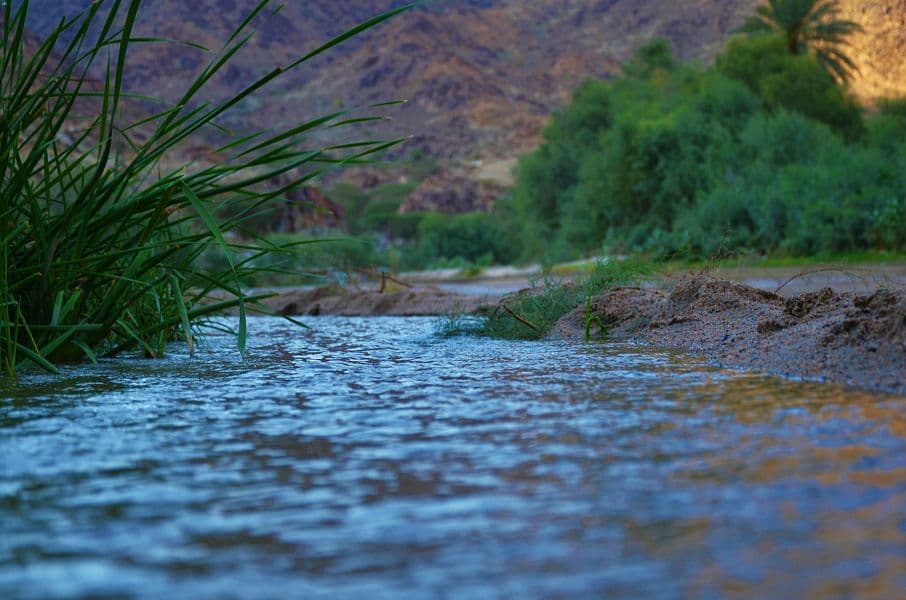 وادي "حوية نمار" في مكة .. ينابيع عذبة تنساب طوال العام