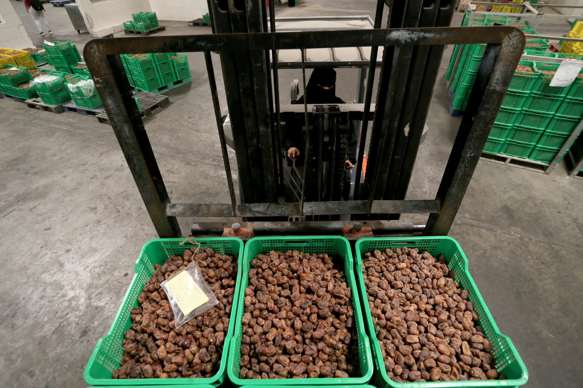 سعوديات يعملن على خط إنتاج مصنع لتعبئة التمور في الأحساء