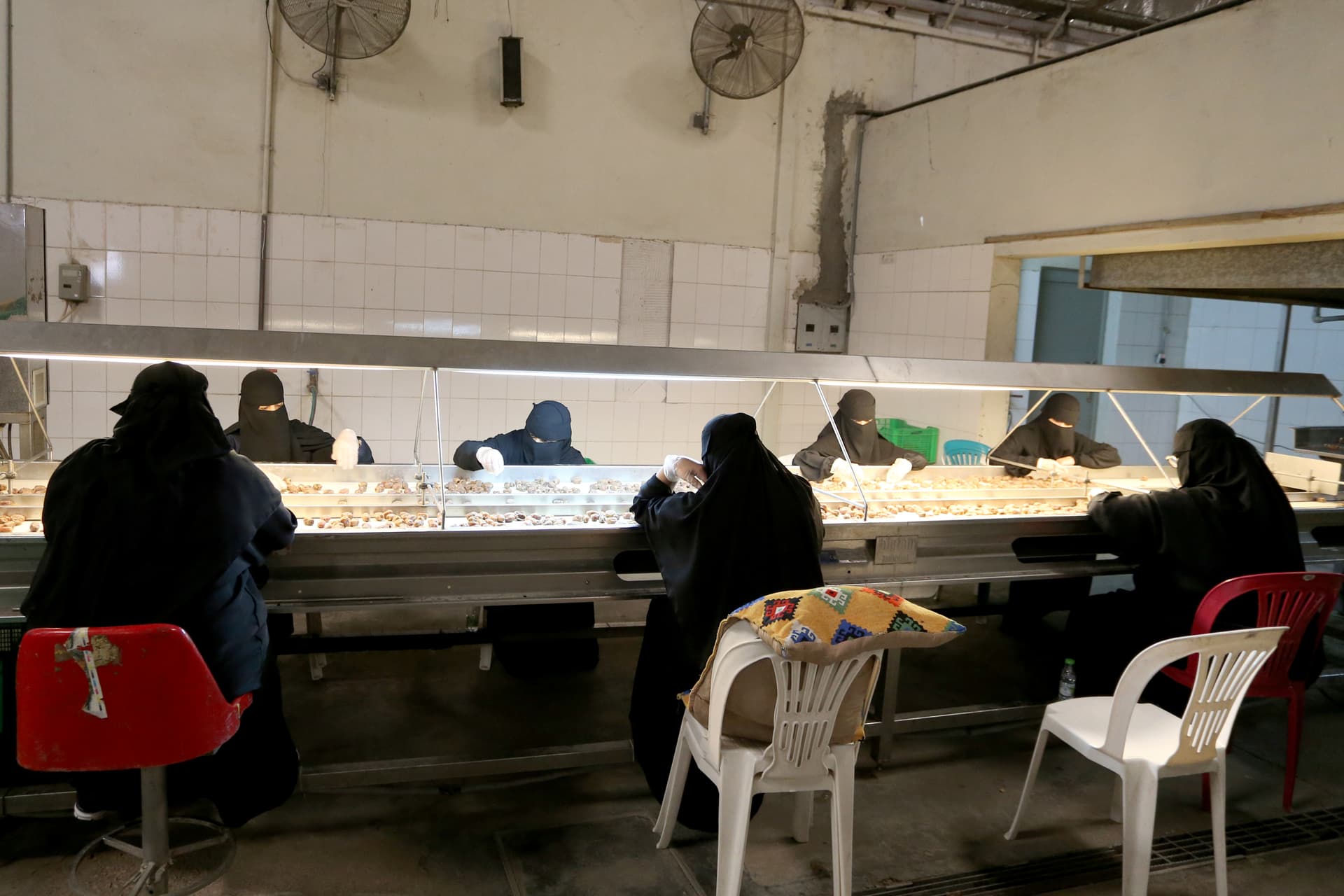 سعوديات يعملن على خط إنتاج مصنع لتعبئة التمور في الأحساء