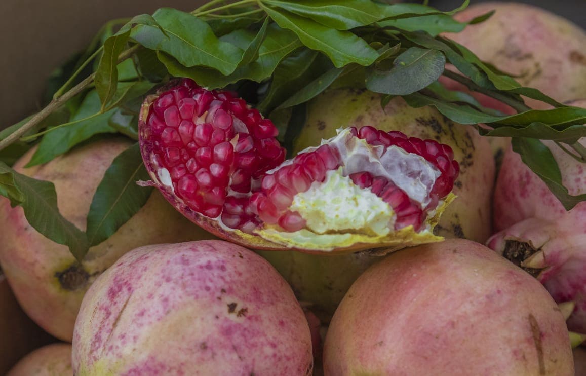 الباحة تزود الأسواق المحلية والإقليمية بـ 30 ألف طن من الرمان 