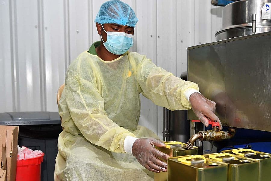 تبوك : معاصر الزيتون تستقبل حصاد 800 ألف شجرة في المنطقة