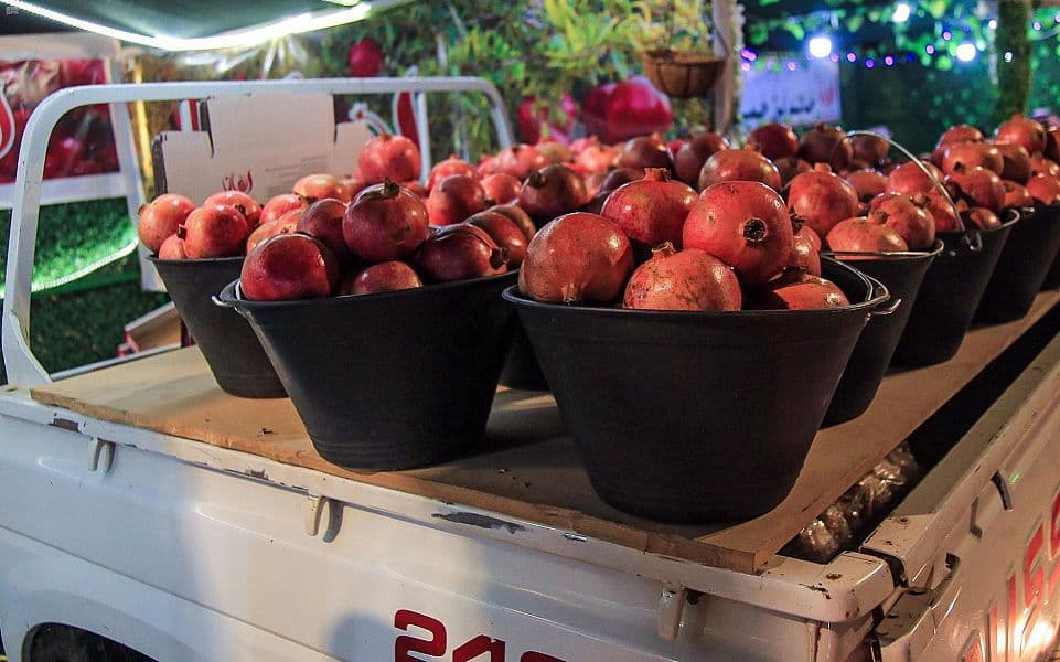 بمبيعات تخطت الـ 4 ملايين ريال .. مهرجان رمان القصيم يختتم فعالياته