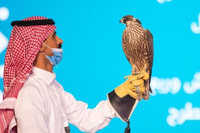 خلال 13 جلسة .. صفقات مزاد الصقور تتخطى الـ 6 ملايين ريال