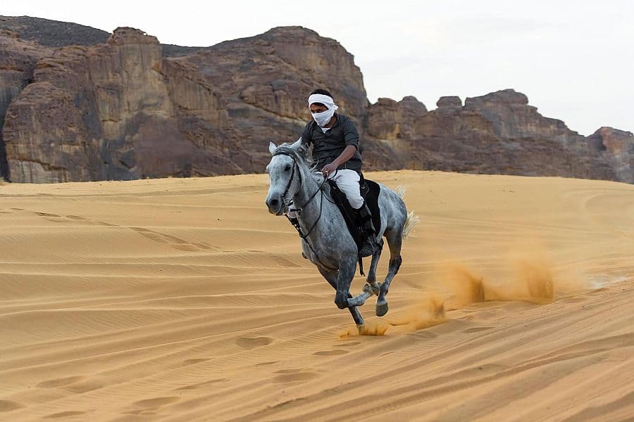 العلا تفتح المواقع التراثية للسياح بحزمة واسعة من الأنشطة