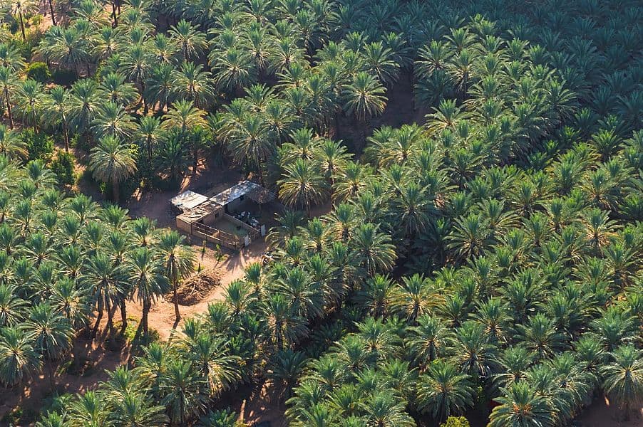 العلا تفتح المواقع التراثية للسياح بحزمة واسعة من الأنشطة