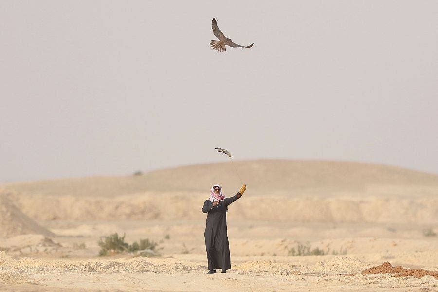 يعزز المهرجان التبادل المعرفي لأحدث الأساليب المتبعة في تربية الصقور وتنميتها.