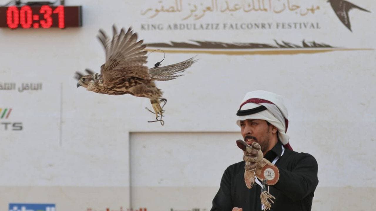 خصص نادي الصقور السعودي، 4.2 مليون ريال لمسابقة المزاين.