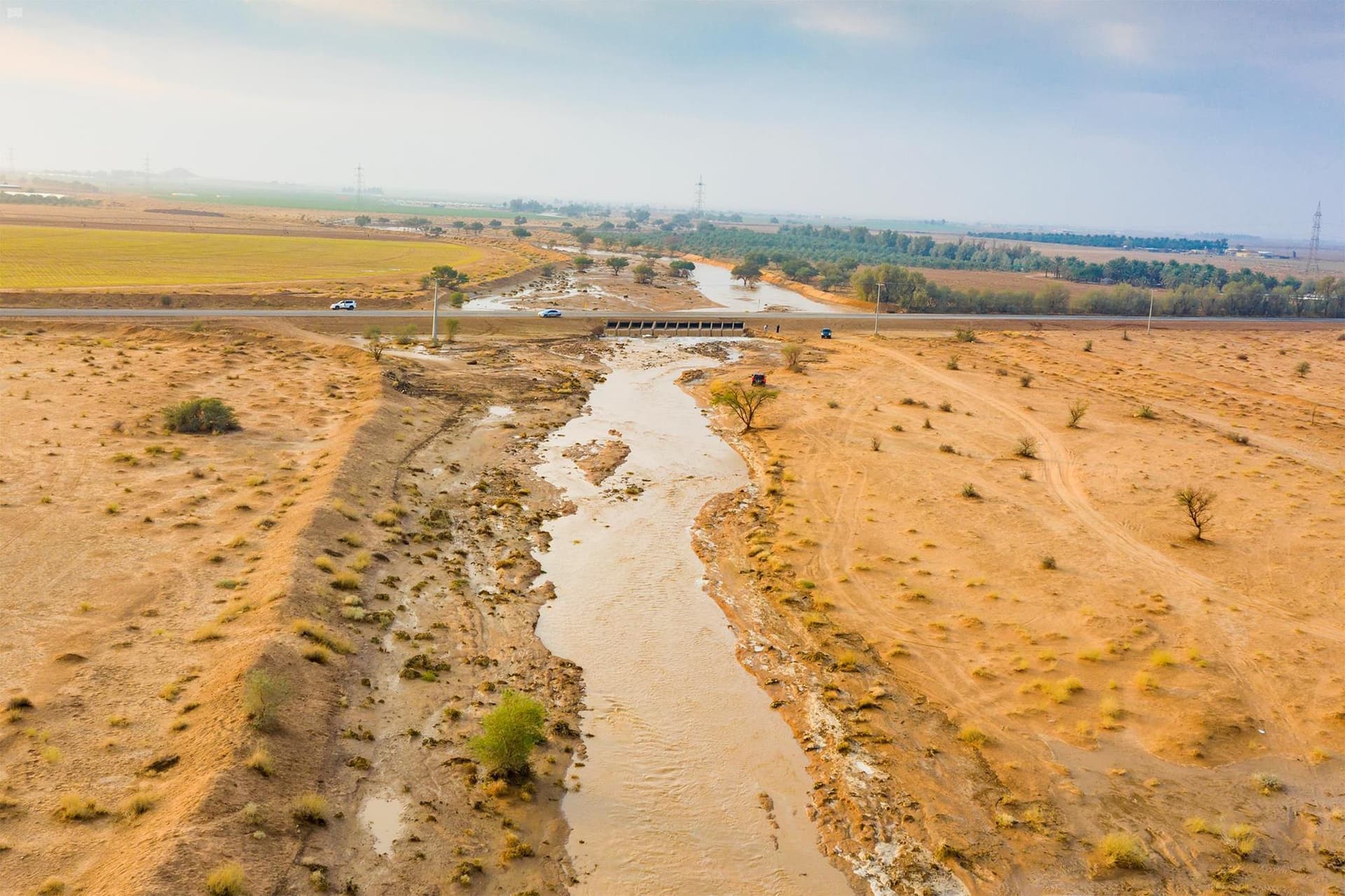 الرياض تحت المطر