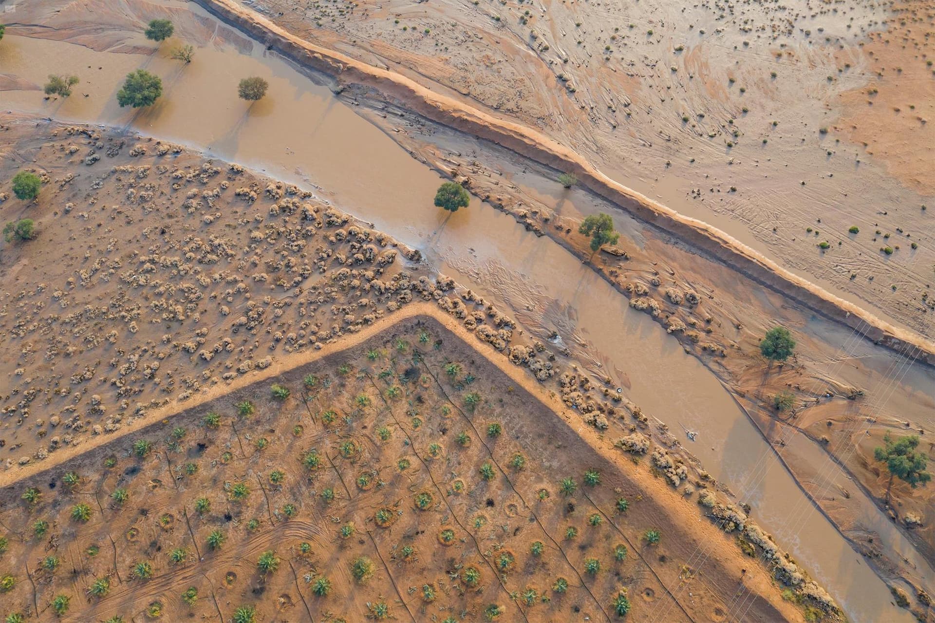 الرياض تحت المطر