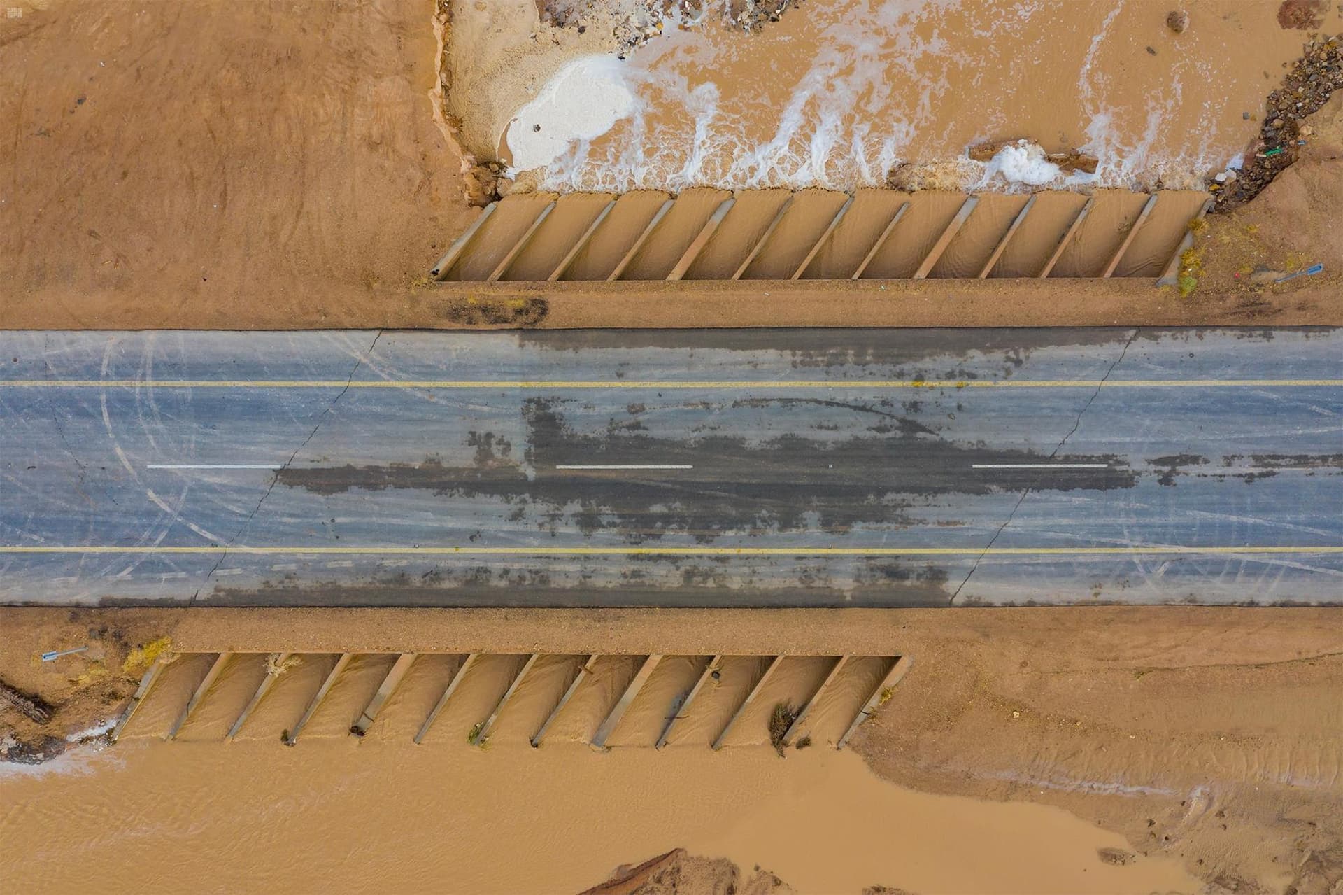 الرياض تحت المطر