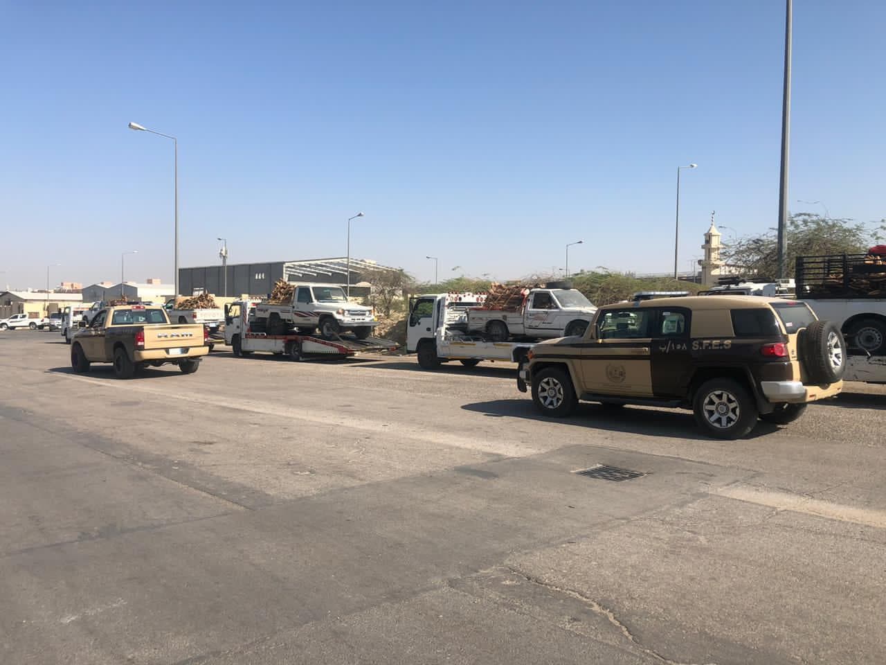 ضبط 10 مخالفين بحوزتهم 12,5 طن من الحطب المحلي في الرياض