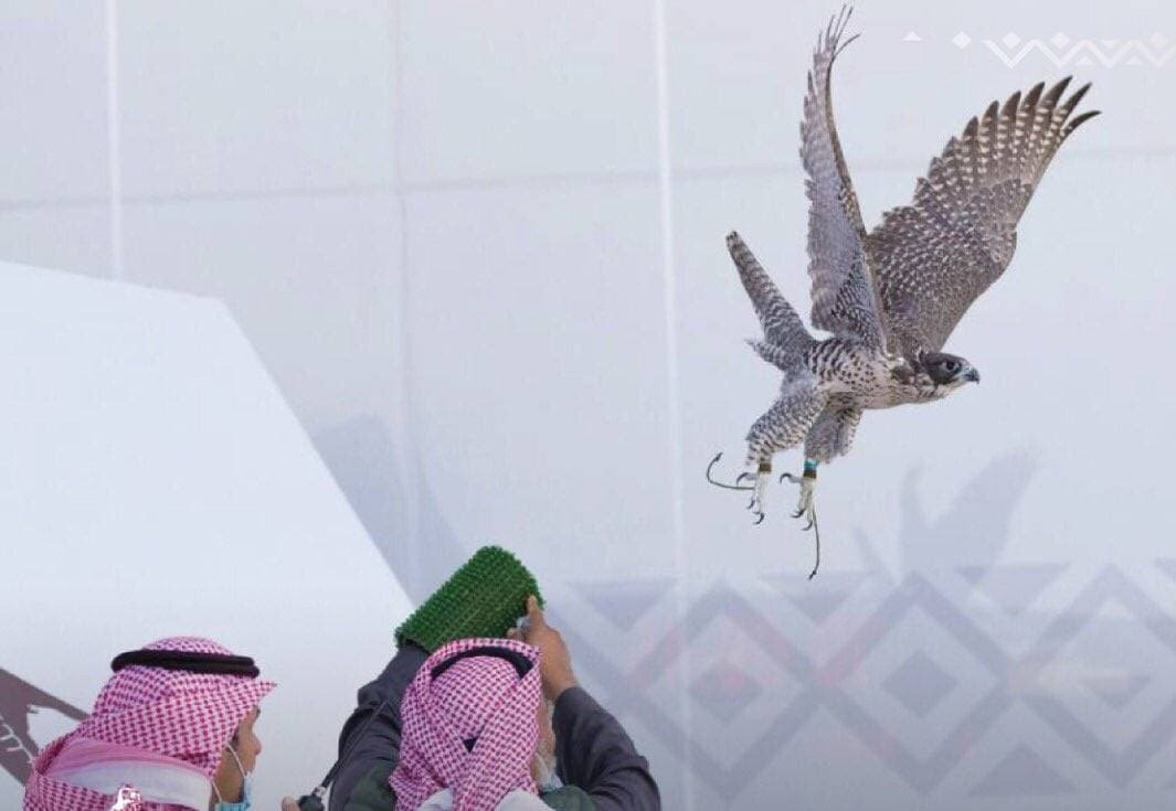 شهد المهرجان منافسة قوية بين المتسابقية.