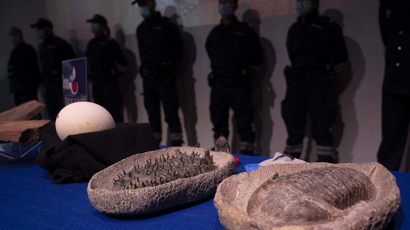 جانب مهم من الصرح الثقافي الغربي المحتفى به اليوم لا سند ولا أصول ولا وثائق تثبت ملكيته. 