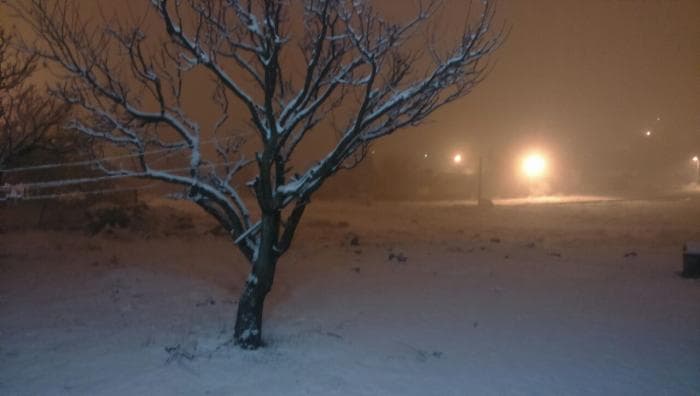 موجة نادرة من الثلوج تكسو مدينة ميلانو الإيطالية 