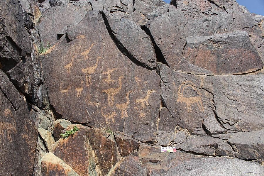 جبال القصيم.. موطن للأسود قبل آلاف السنين