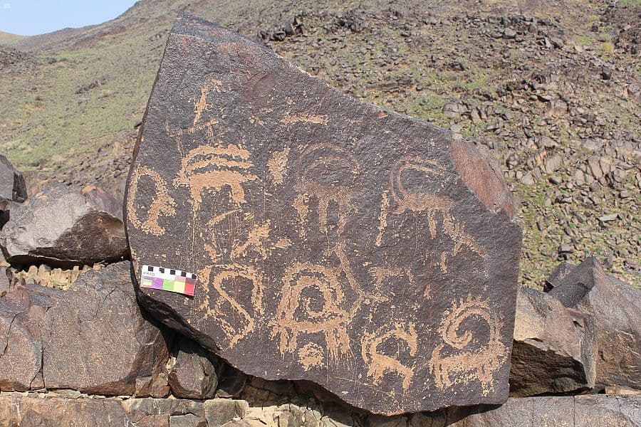 جبال القصيم.. موطن للأسود قبل آلاف السنين