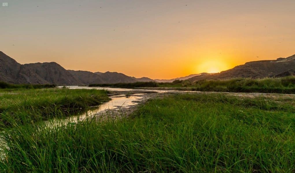 الأجواء المعتدلة والأودية الجارية في تهامة الباحة تجذب الزوار