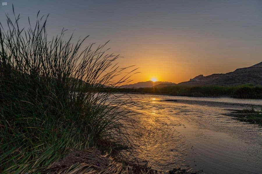 الأجواء المعتدلة والأودية الجارية في تهامة الباحة تجذب الزوار