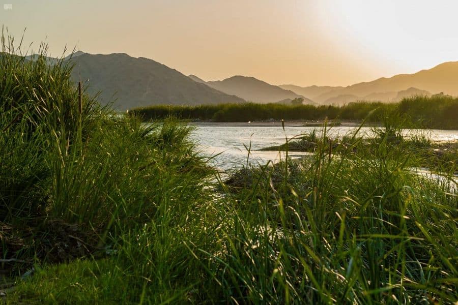 الأجواء المعتدلة والأودية الجارية في تهامة الباحة تجذب الزوار