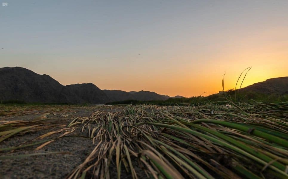 الأجواء المعتدلة والأودية الجارية في تهامة الباحة تجذب الزوار