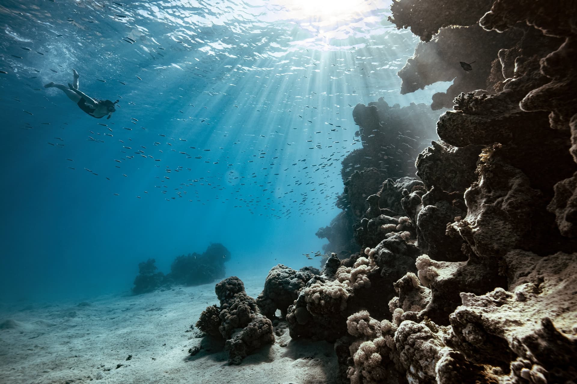 "ذا لاين" .. مدينة مليونية في نيوم تحاكي الطبيعة دون ضجيج وكربون