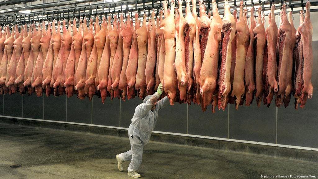 عامل في مسلخ تونيز في ألمانيا.