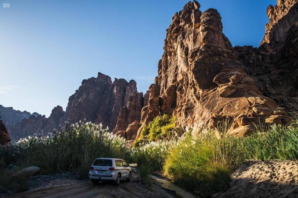 تكثر في تبوك العيون الجارية وأشجار النخيل والكثير من المواقع الأثرية."واس"