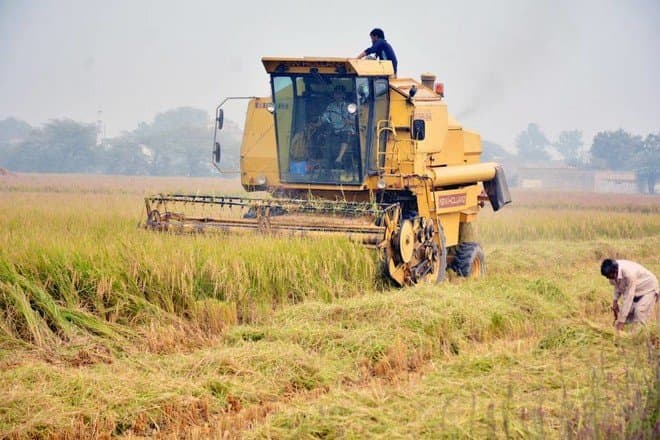 برنامج الأغذية: الجائحة جرس إنذار بمواطن الضعف في الإمداد الغذائي