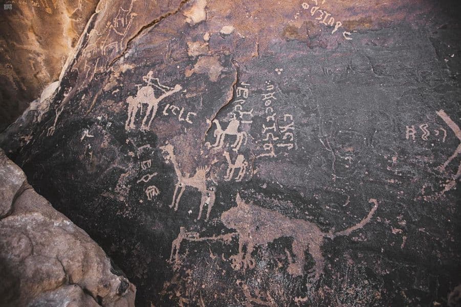 نقوش "حائل" الثمودية تروي لزوار "شتاء السعودية" تفاصيل الأمم السابقة