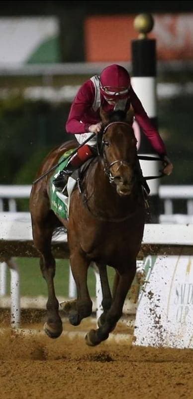 مشرف لحظة وصوله خط النهاية.