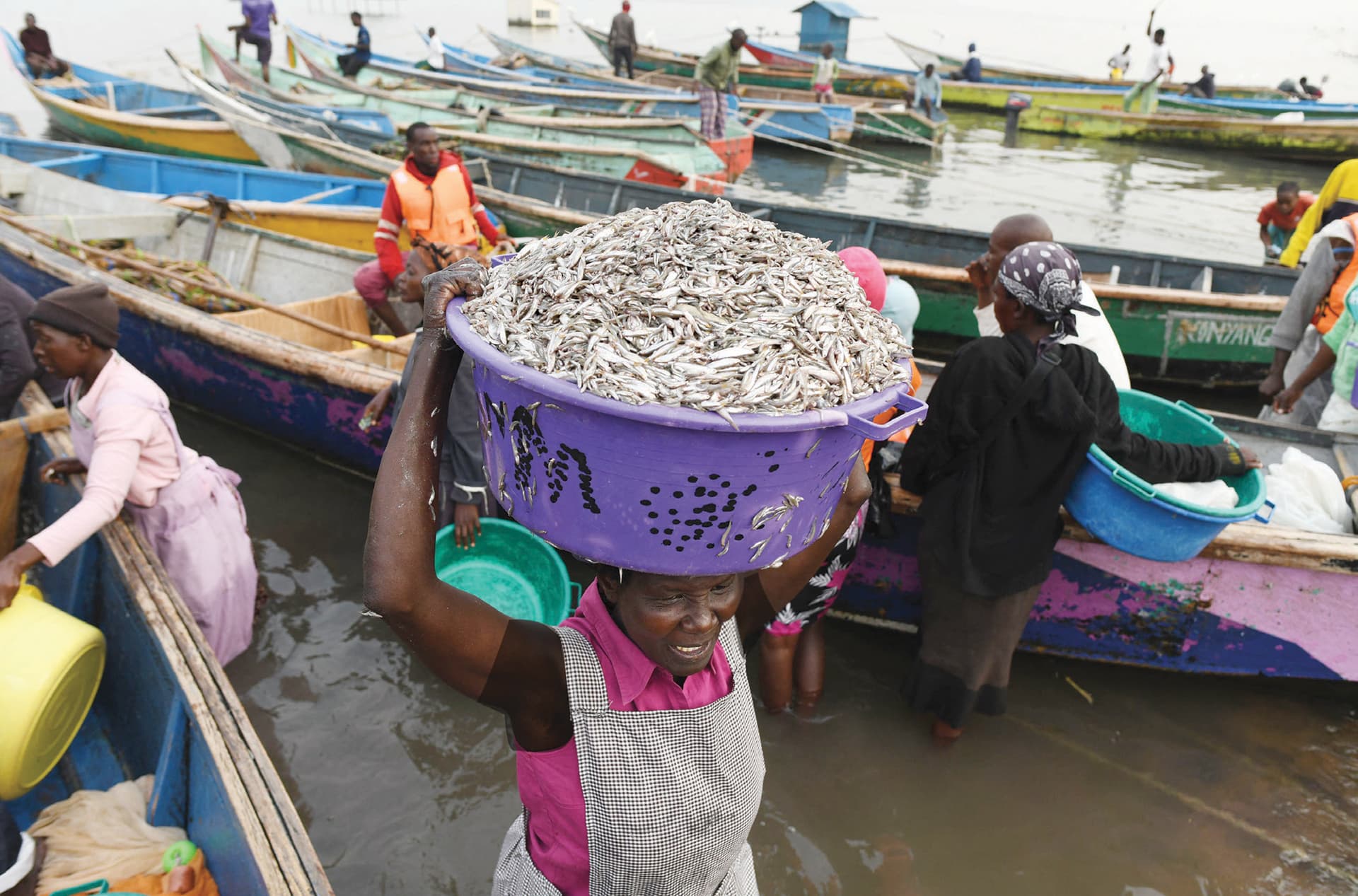 بائعون يشترون الأسماك من الصيادين قبل إعادة بيعها بالقرب من شاطئ غرب كينيا