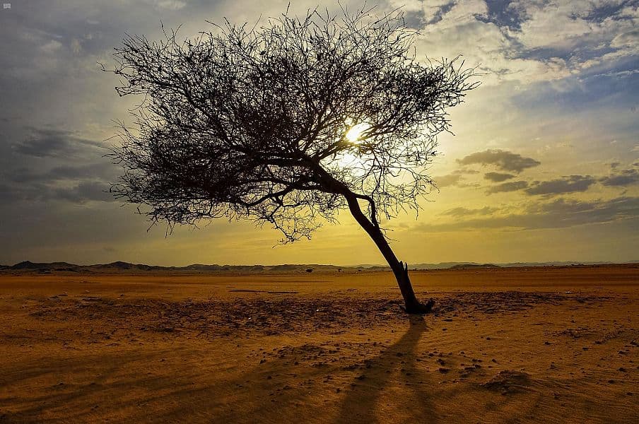 نجران .. بوابة سياحية لاستكشاف الربع الخالي