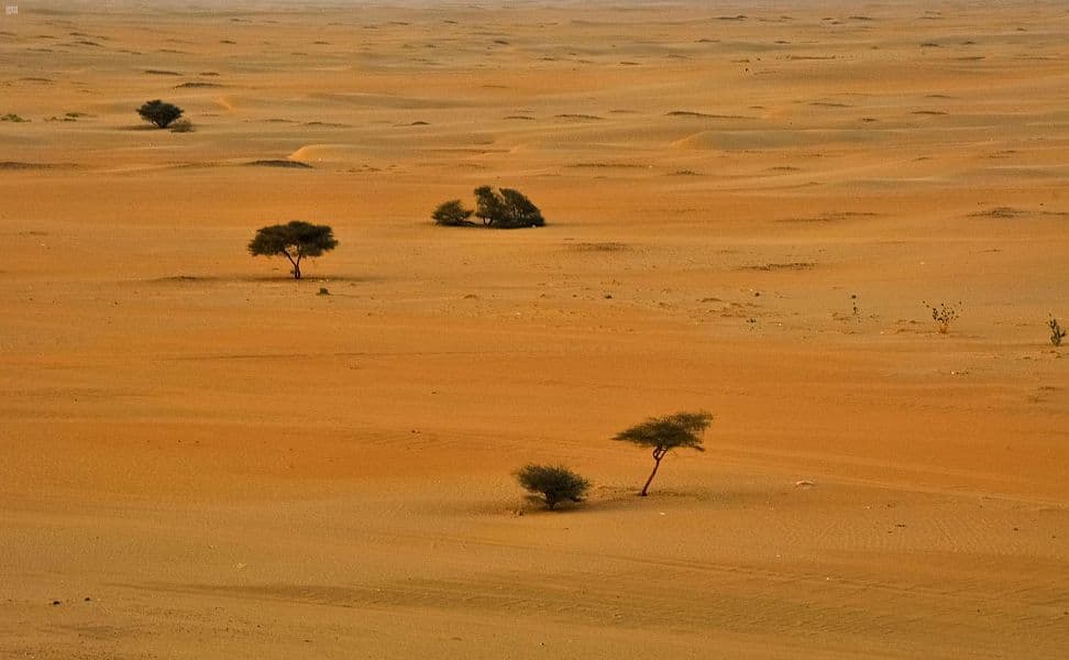 نجران .. بوابة سياحية لاستكشاف الربع الخالي