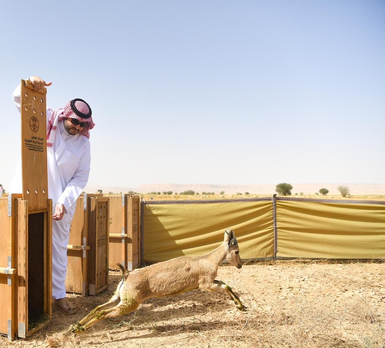إطلاق عدد من المبادرات البيئية في محمية الملك خالد الملكية