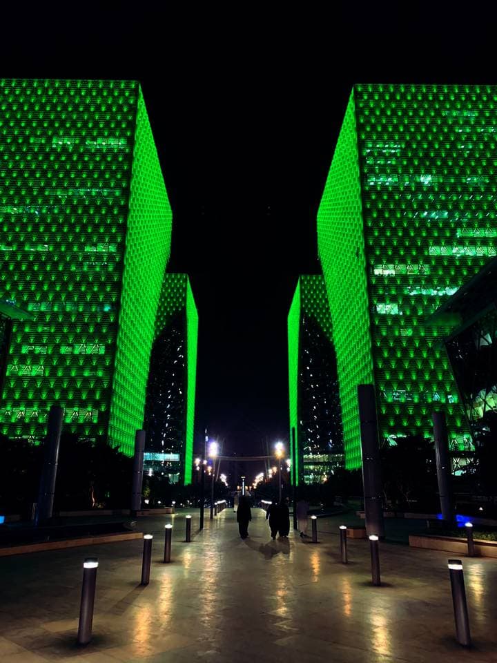 ويجمع عمل الفنان الهولندي دان روزيجارد بين علم الأحياء والتكنولوجيا.