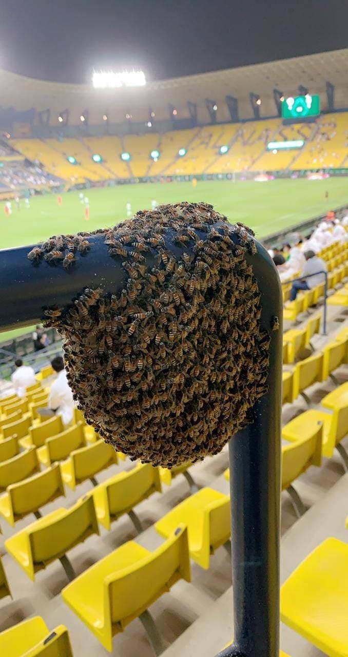 شراكة سعودية إندونيسية لتعزيز التعاون في مجالي الابتكار وريادة الأعمال الرقميين