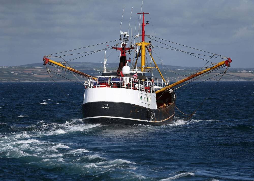 الاقتصاد الأزرق يشمل صيد الأسماك والتقنية الحيوية البحرية والسياحة والشحن والطاقة.