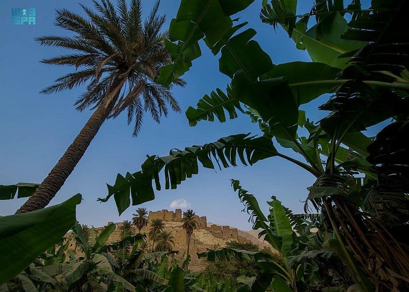 "ذي عين" الباحة .. شاهد على تراث يتخطى الـ 400 عام