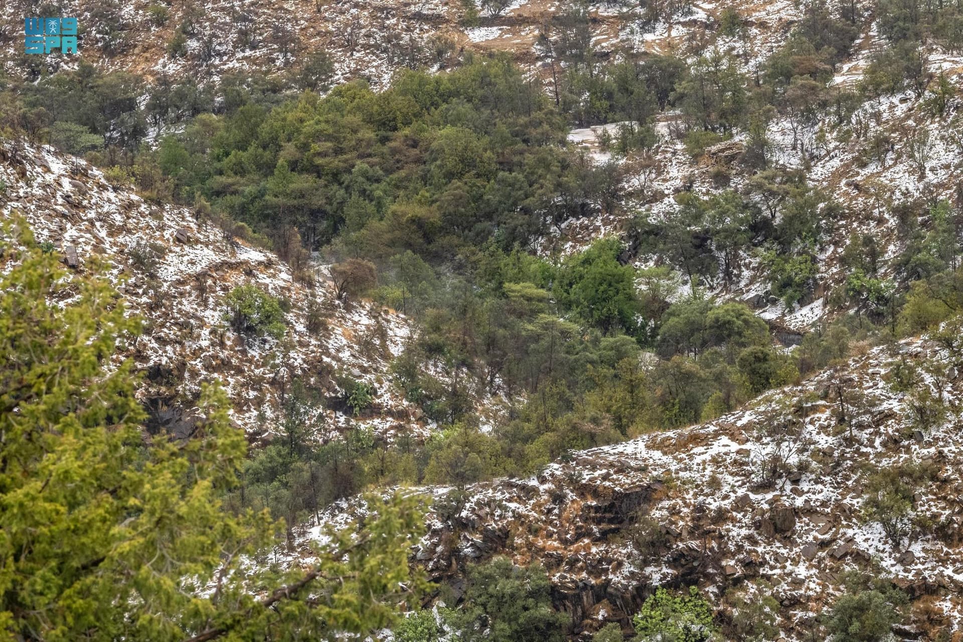 جبال وأودية الباحة تكتسي باللون الأبيض