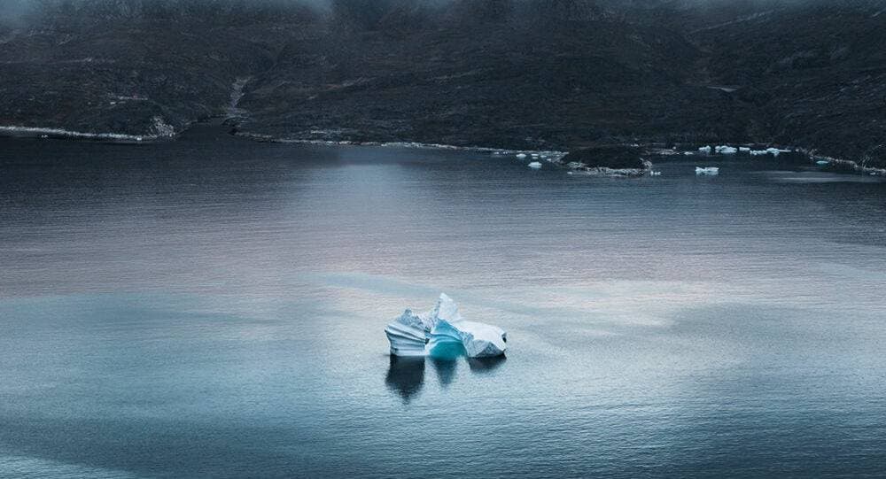 وجد العلماء نباتات متحجرة في جليد جزيرة جرينلاند.