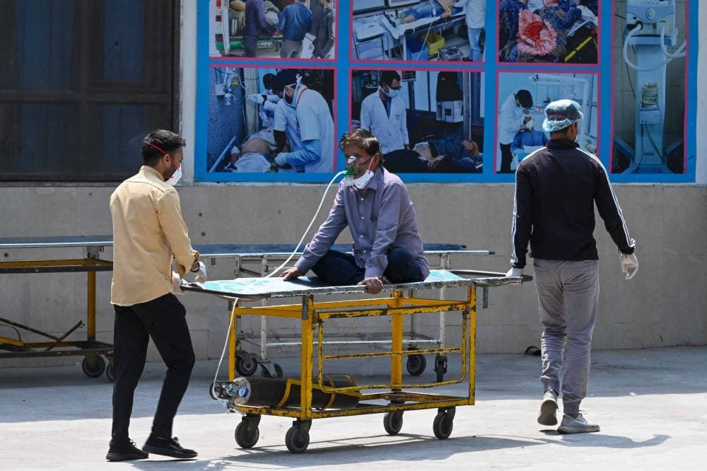 عرض هيكل ديناصور للبيع في دبي بـ 14 مليون درهم