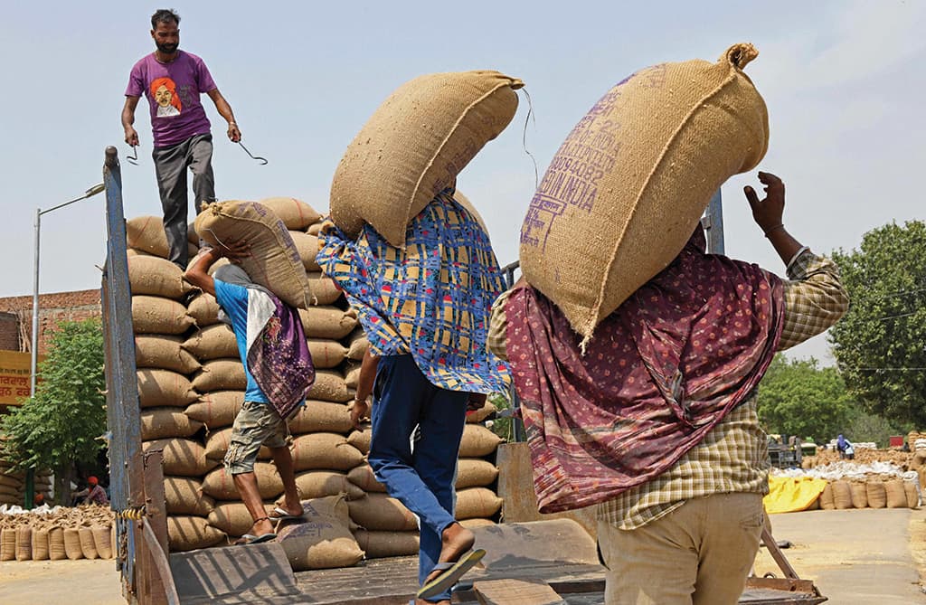 عمال يحملون أكياس حبوب القمح على عربة في مدينة أمريتسار الهندية 