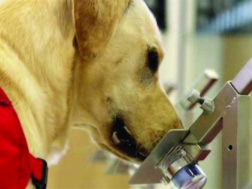 «الإسكان»: 700 ألف وحدة سكنية وتجارية مسجلة في «إيجار»