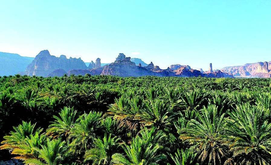 تقنيات البناء الحديثة تعزز نمو المشاريع السكنية السعودية وارتفاع الطلب