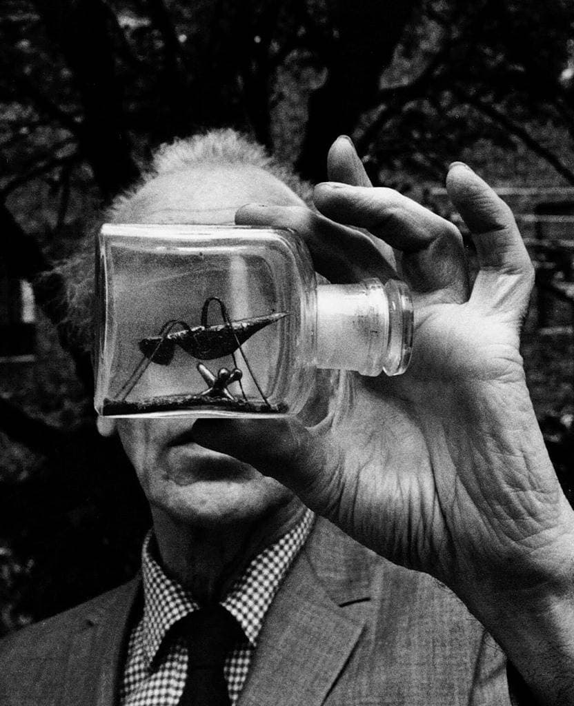 الفنان جوزيف كورنل في انسجام وتناغم تام مع طبيعة الفن الذي يمارسه.